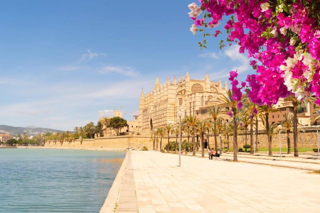 Palma de mallorca